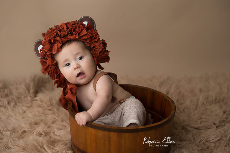 baby lion 